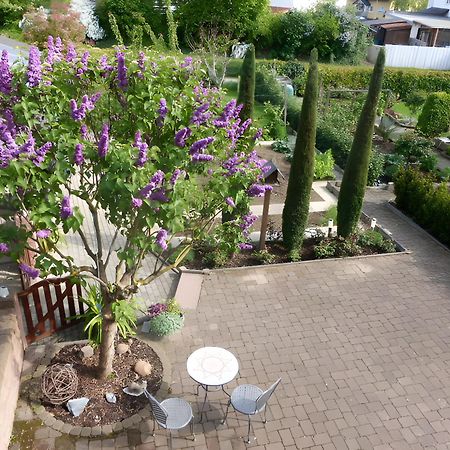 Ferienwohnung Schillinger Sasbach am Kaiserstuhl Dış mekan fotoğraf