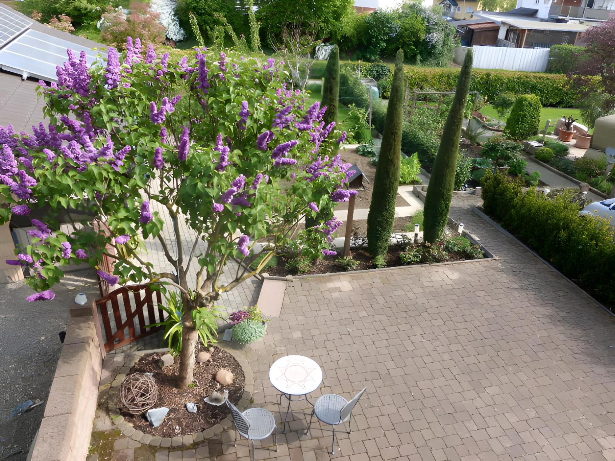 Ferienwohnung Schillinger Sasbach am Kaiserstuhl Dış mekan fotoğraf