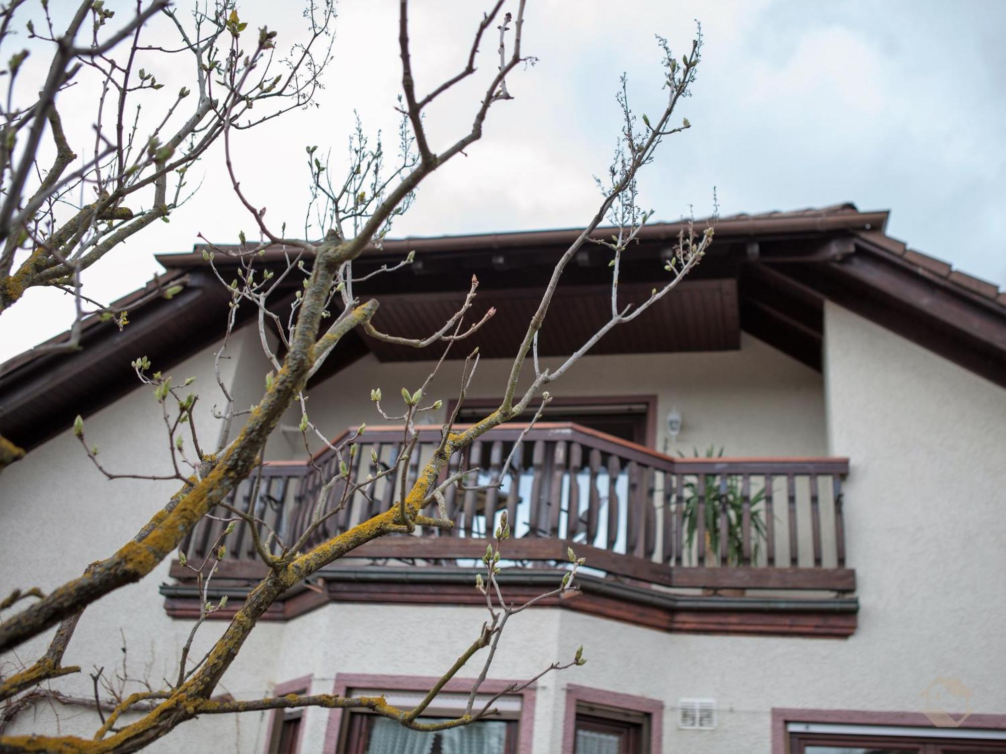 Ferienwohnung Schillinger Sasbach am Kaiserstuhl Dış mekan fotoğraf